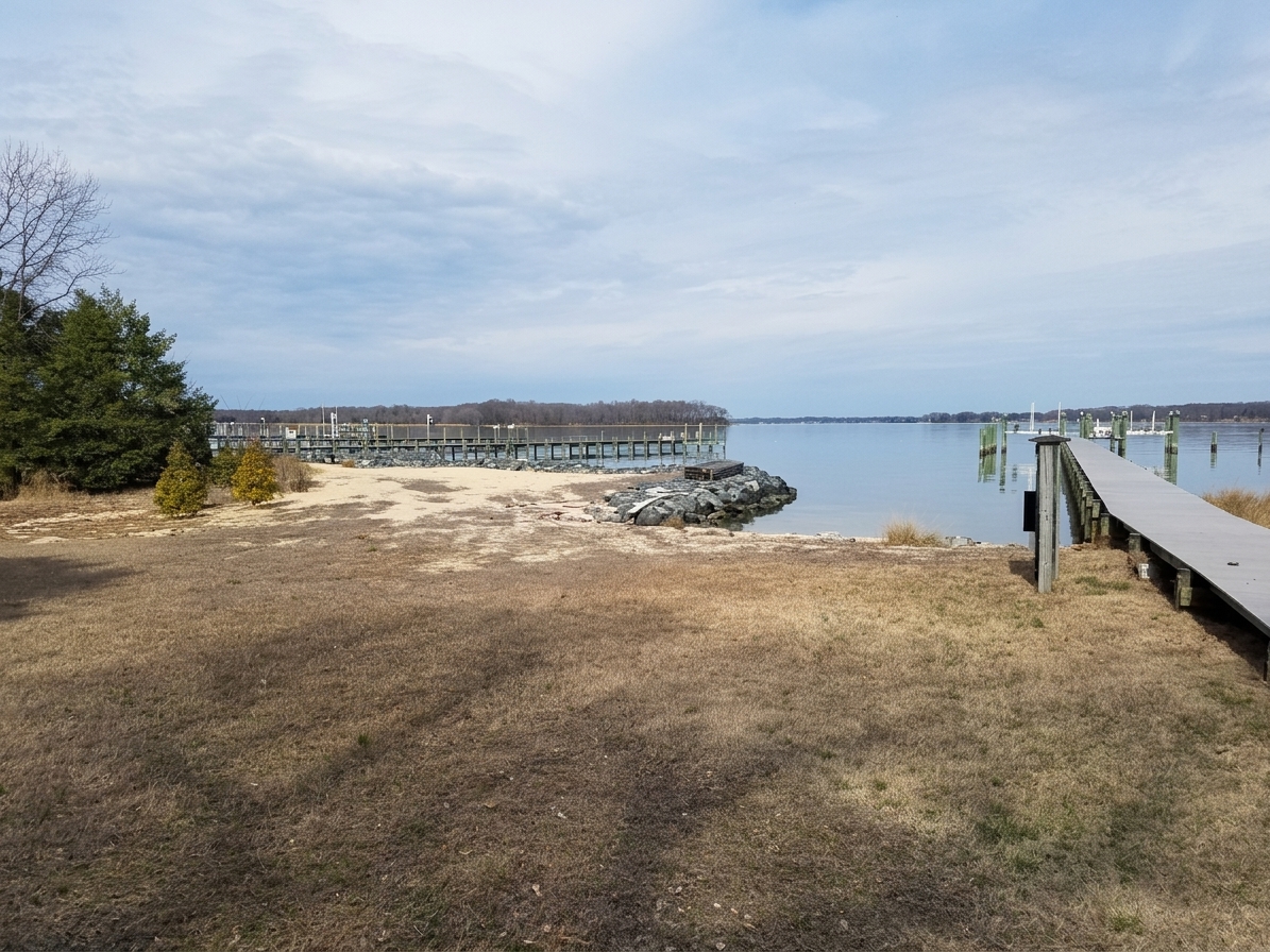 Turkey Point, 2019: the pier and worn lawn before work began.