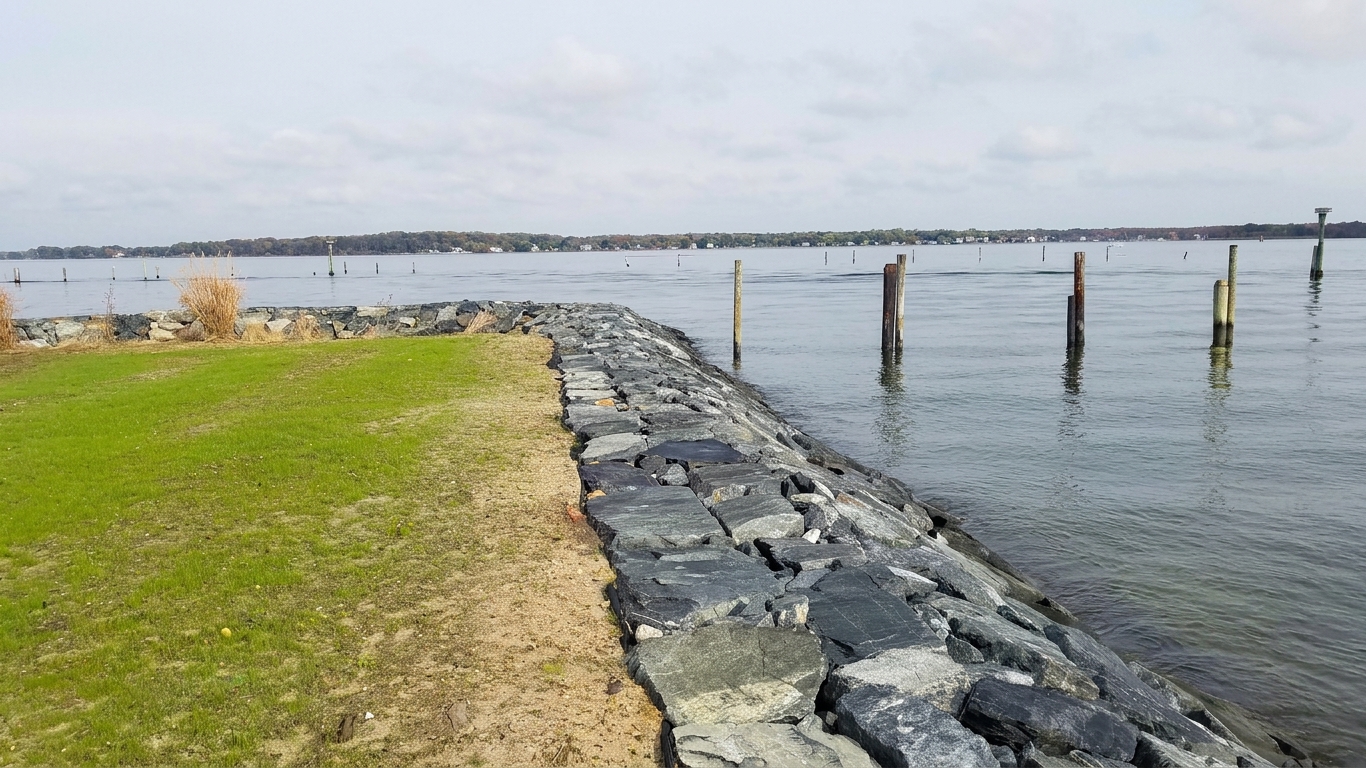 Turkey Point, 2019: timber pilings standing in the water off the finished revetment.
