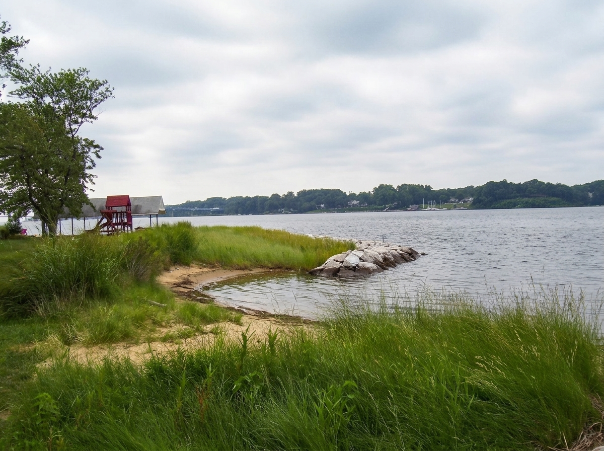 After: Winchester on the Severn — the planted living shoreline grown in.